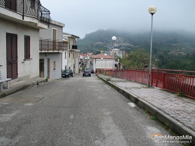 Rughe suprane 011